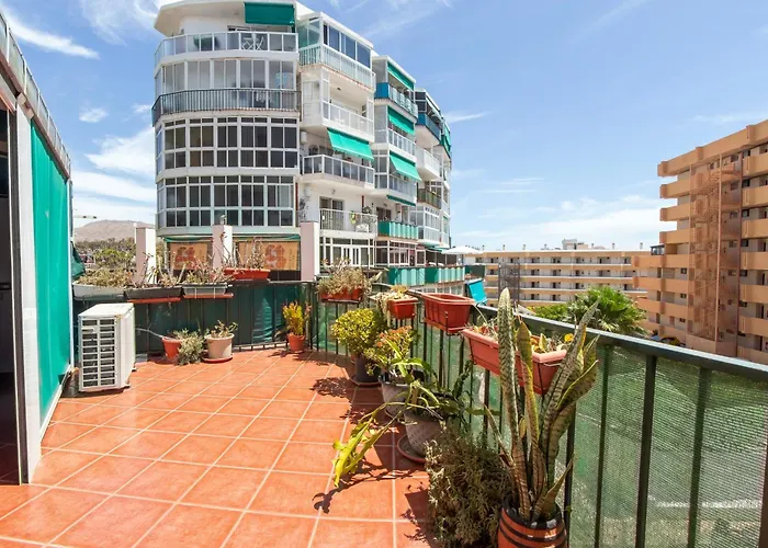 Cosy 1Bd Apartment Near Playa De Las Americas, 208